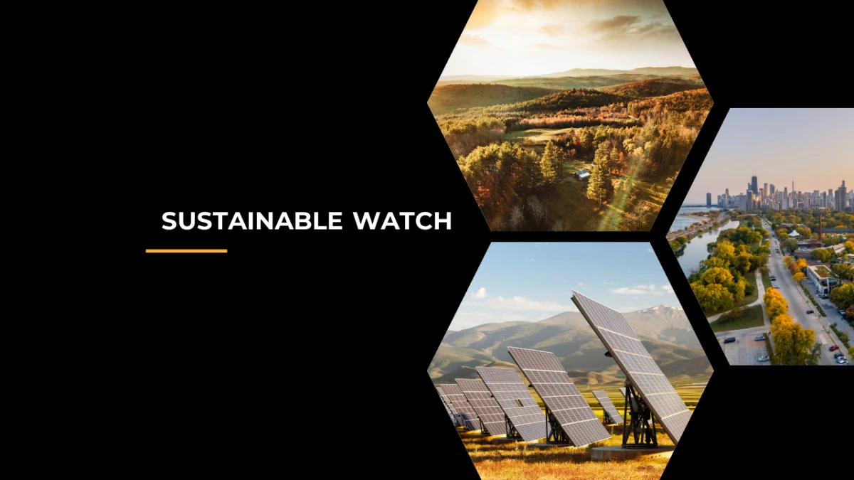 2. Sustainable Watch - Consolidated Q&A on the SFDR